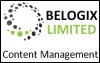 Belogix Web design